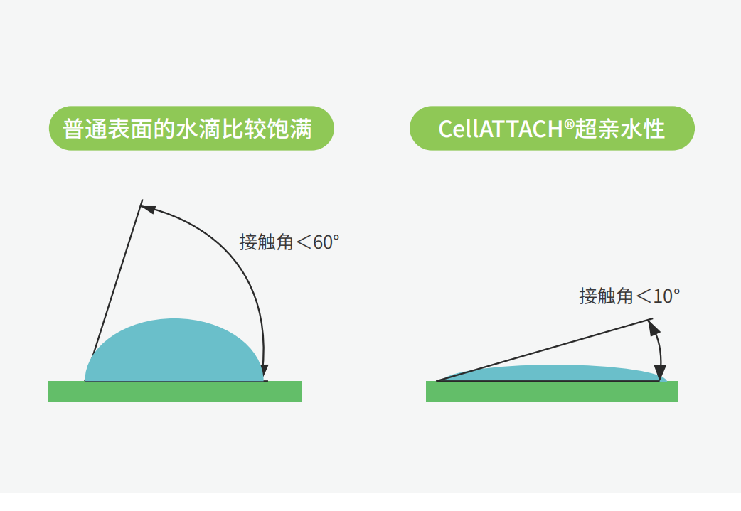独特的超亲水表面处理技术，能为细胞提供更好的吸附性，促进细胞快速贴壁生长，提高产量